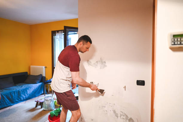 Best Mold Damage Repair  in Independence, KY